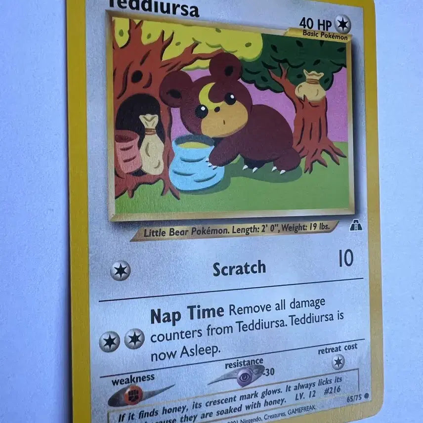 [BUNJANG] Pokemon Early North American English Version Teddiursa Card / (희귀 영문판) 포켓몬, 포켓몬스터 초기 북미 깜지곰 카드