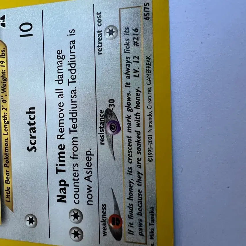 [BUNJANG] Pokemon Early North American English Version Teddiursa Card / (희귀 영문판) 포켓몬, 포켓몬스터 초기 북미 깜지곰 카드