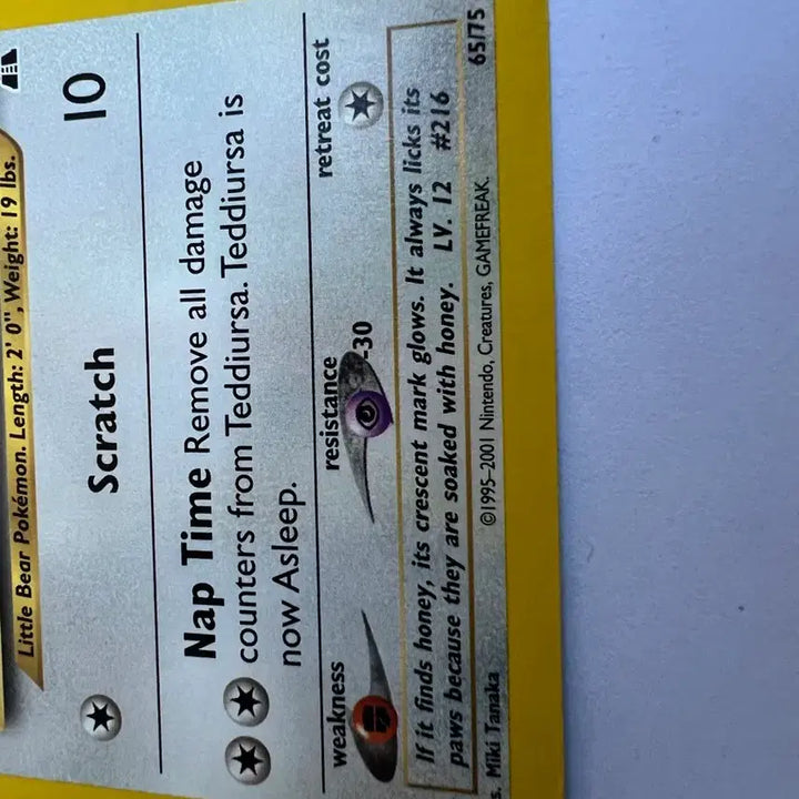 [BUNJANG] Pokemon Early North American English Version Teddiursa Card / (희귀 영문판) 포켓몬, 포켓몬스터 초기 북미 깜지곰 카드