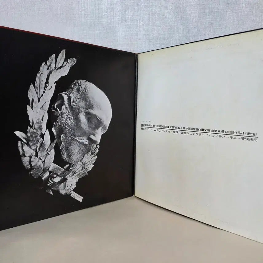 [BUNJANG] Evgeny Mravinsky Tchaikovsky Symphony No. 4, 5 &amp; 6 "Pathétique" Leningrad Philharmonic Orchestra 2LP / 2LP] 므라빈스키: 차이콥스키 교향곡 4,5 &amp; 6번"비창" 레닌그라드