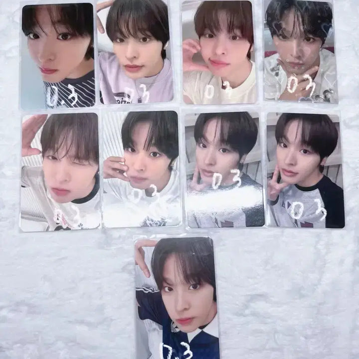 [BUNJANG] NCT WISH Individual Member Photocard / 탈덕처분 ) 엔시티 위시 엔위시 포카 판매 합니다 / 포토카드무료나눔나눔