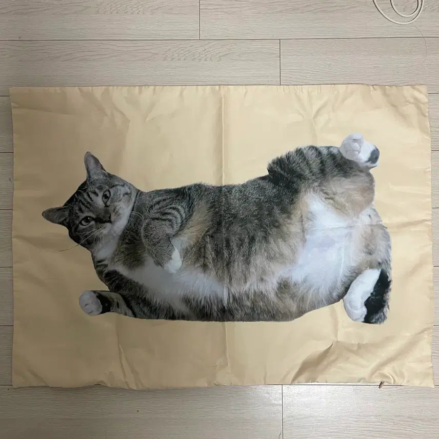 [BUNJANG] Chun Bong Cheom Ji Underworld Pillow Cover / 춘봉 첨지 언더월드 굿즈 베개 커버