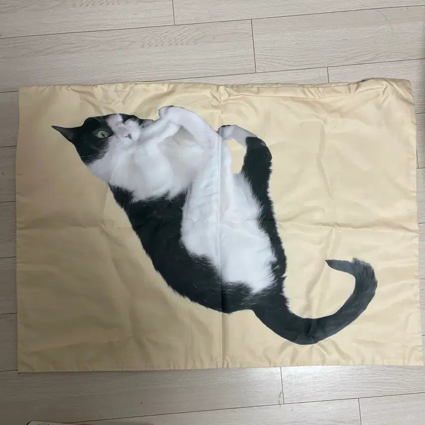 [BUNJANG] Chun Bong Cheom Ji Underworld Pillow Cover / 춘봉 첨지 언더월드 굿즈 베개 커버