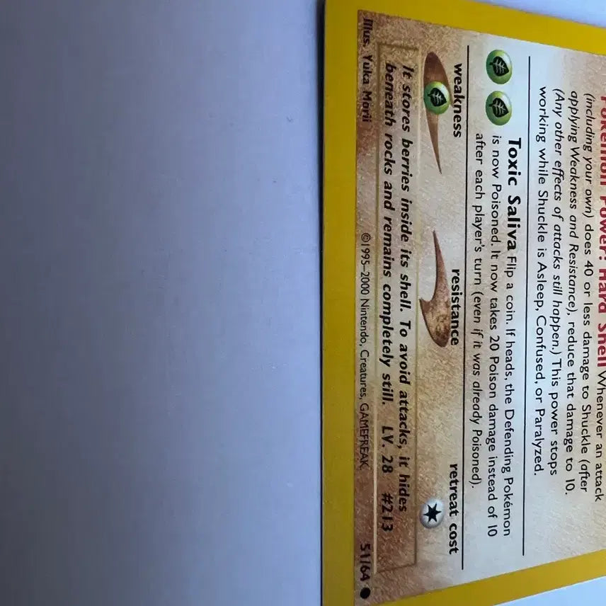 [BUNJANG] Pokemon Early North American English Edition Cards / (희귀 영문판) 포켓몬, 포켓몬스터 북미 초기 단단지 카드