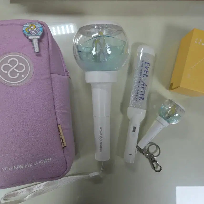 [BUNJANG] Jeong Sewoon Lightstick, Lightstick Case &amp; Keychain Set / 정세운 응원봉 등등