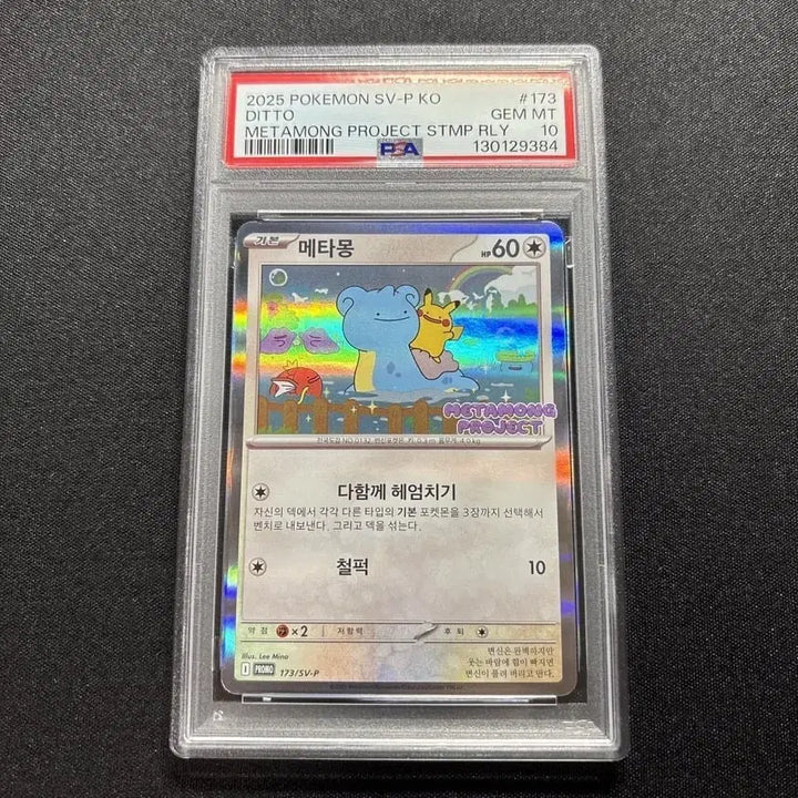 [SOLD OUT] psa 10 메타몽 포켓몬카드