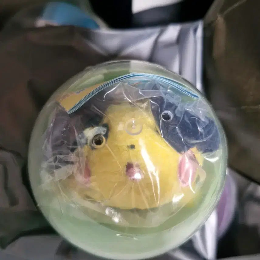 [BUNJANG] Pokemon Chalsak Magnet Mascot Pichu Magnet Metamon Playground Pop-up / 포켓몬 찰싹 자석 마스코트 피츄 마그넷 메타몽 놀이터 팝업