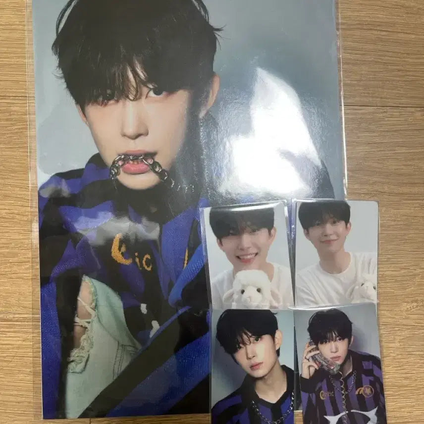 [BUNJANG] ALPHADRIVEONE Kim Geonwoo Bundle Set Photocard &amp; Poster / 알파드라이브원 김건우 일괄판매