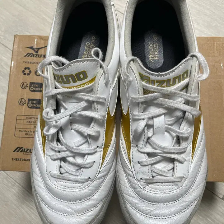 [BUNJANG] Mizuno Morelia Sala Elite TF 260 Futsal Shoes / 미즈노 모렐리아 살라 앨리트 TF 260 풋살화