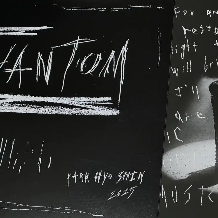 [BUNJANG] Park Hyo Shin Musical Phantom LP Photobook / 박효신 뮤지컬 팬텀 LP 포토북