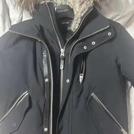 [BUNJANG] MACKAGE Dixon Padded Short Down Jacket / 맥케이지 딕슨 패딩