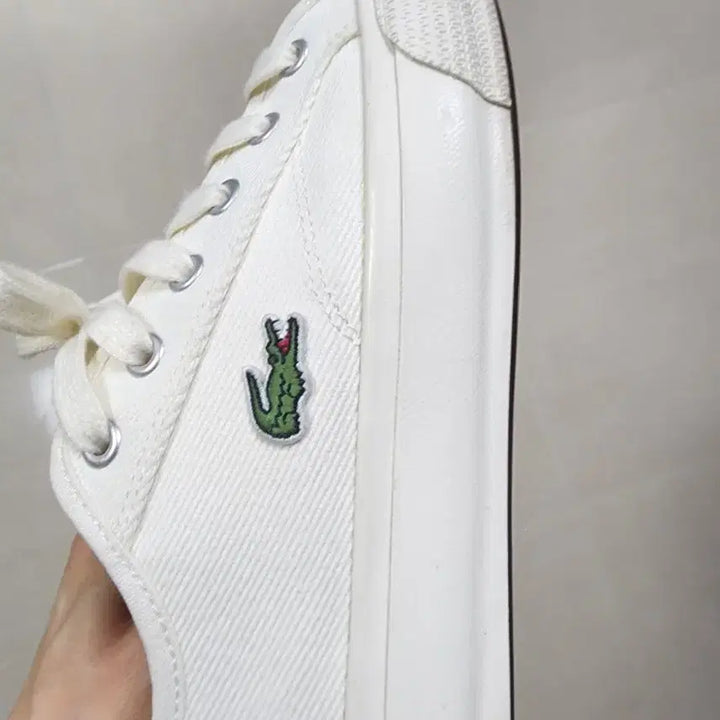 [BUNJANG] Lacoste Canvas Sneakers White / 라코스테 캔버스 스니커즈 화이트 235