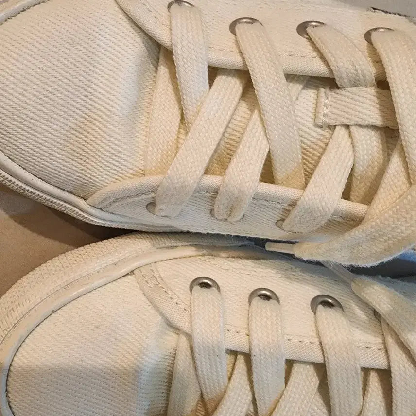 [BUNJANG] Lacoste Canvas Sneakers White / 라코스테 캔버스 스니커즈 화이트 235