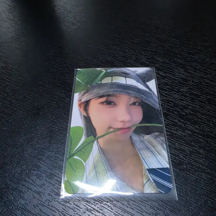 [BUNJANG] QWER Manito Photocard (Magenta) / qwer 마니또 포토카드 (마젠타)