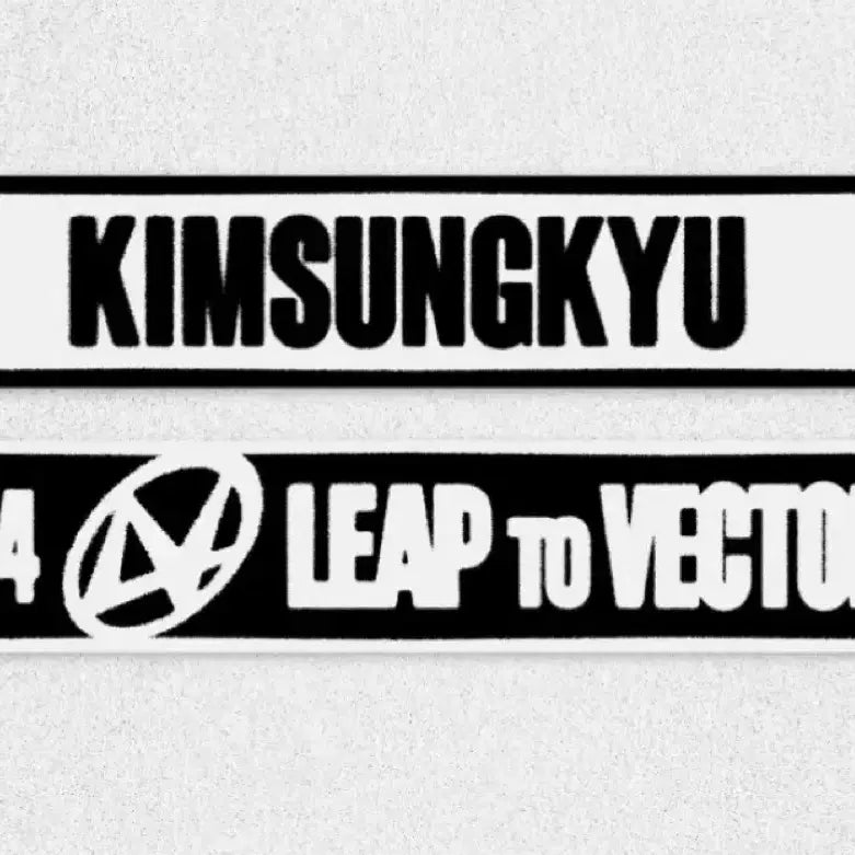 [BUNJANG] Kim Sung Kyu Leap to Vector Lv.4 Slogan / 김성규 슬로건 lv4 leap to vector md 엠디