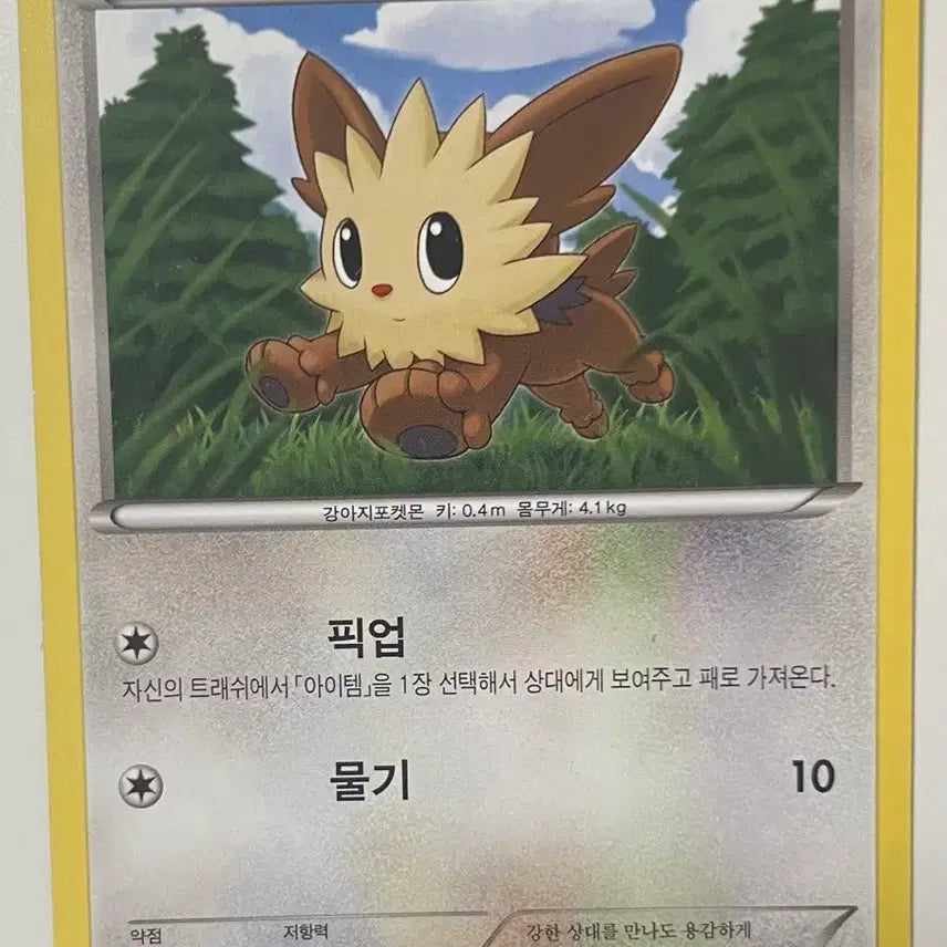 [BUNJANG] Pokemon Card Ursaring / 포켓몬카드 요테리