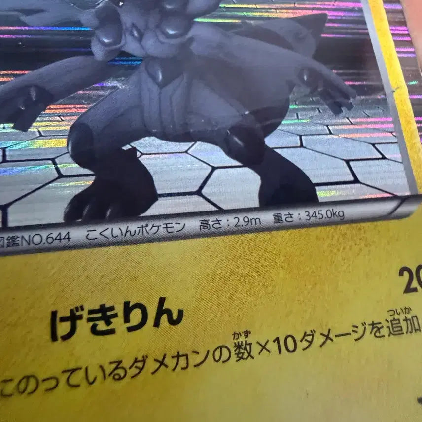 [BUNJANG] Pokemon Japanese Cards Bundle Set - Zekrom, Infernape, Plasma Team Rare Cards / 포켓몬카드 일판 일괄판매 제크로무 초염몽 플라즈마단 희귀카드