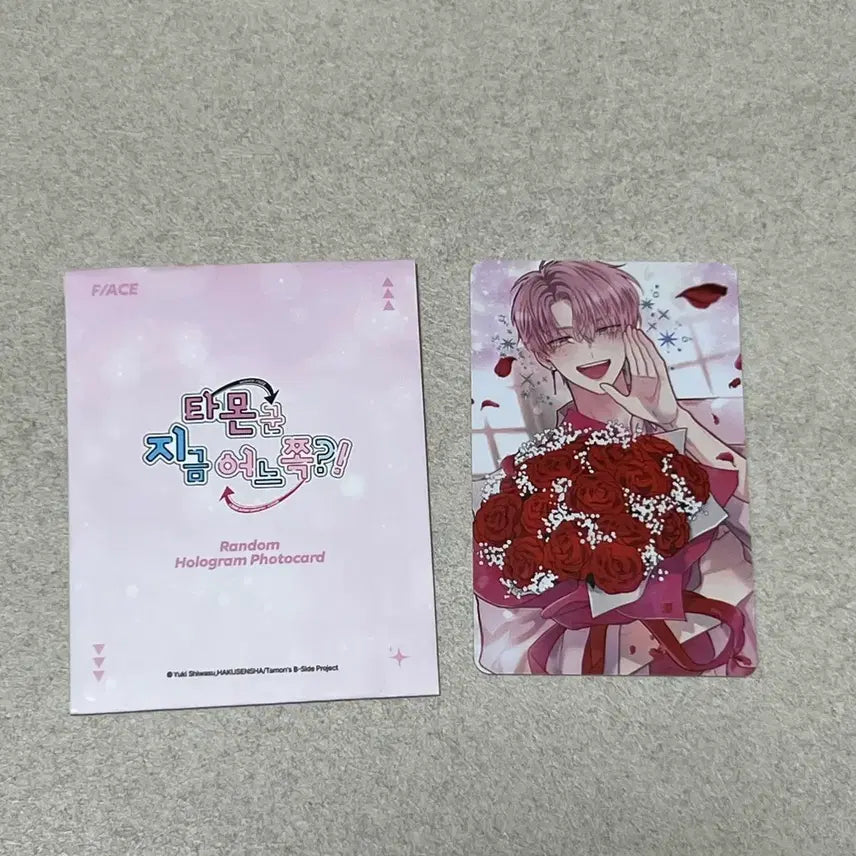 [BUNJANG] Tamonnkun Hologram Photocard / 타몬군지금어느쪽 콜라보카페 콜카 팝퍼블 팝업 타몬 홀로그램 포토카드 포카