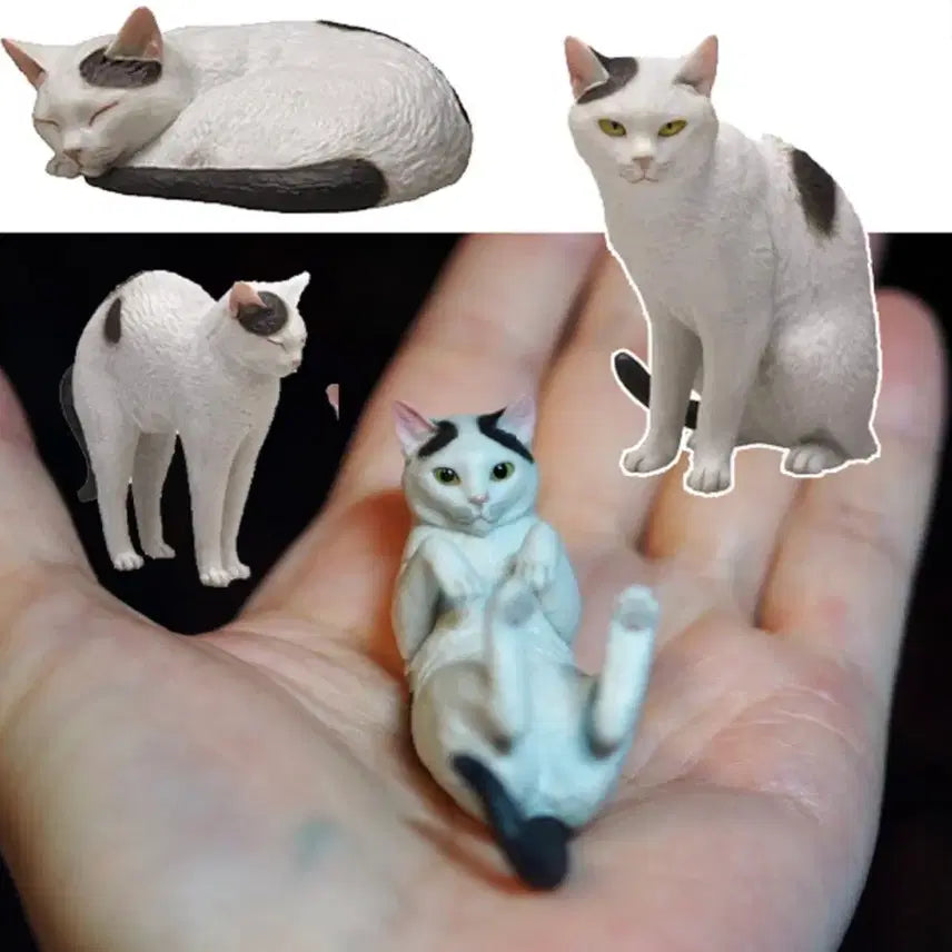 [BUNJANG] Osamu Moriguchi Cat Figure Set - Series 2 (Sealed) / (미개봉)모리구치 오사무 고양이 2탄 풀세트