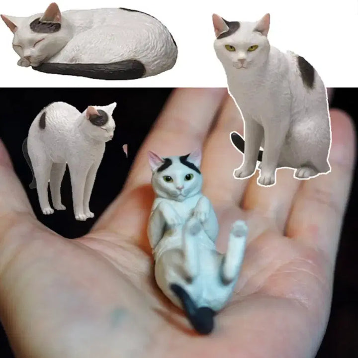 [BUNJANG] Osamu Moriguchi Cat Figure Set - Series 2 (Sealed) / (미개봉)모리구치 오사무 고양이 2탄 풀세트