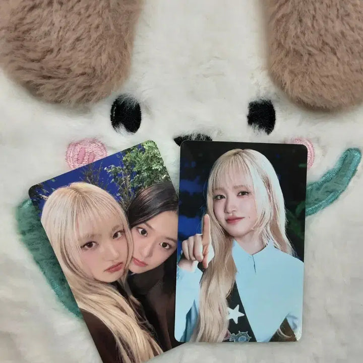 [BUNJANG] IVE Liz, Yujin SCOUT Photocard / 아이브 리즈,유진 SCOUT 포카