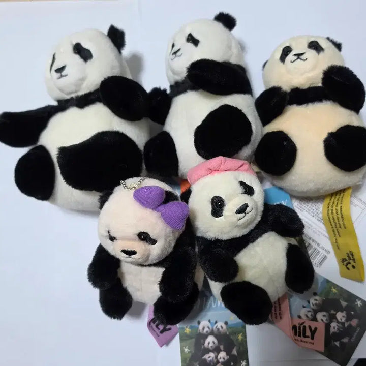 [BUNJANG] Bao Family Signature Doll Set / 시그인형세트