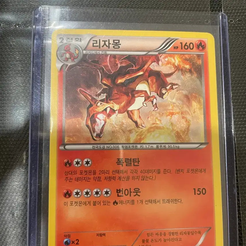 [BUNJANG] Pokemon Charizard Card Bundle Set / 포켓몬 리자몽3개 일괄판매