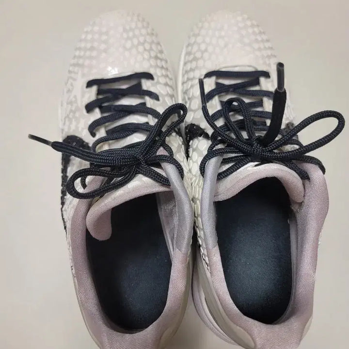 [BUNJANG] Nike Kobe 6 "Grinch" Shoe Repair &amp; Cleaning / [250] 코비6 세일