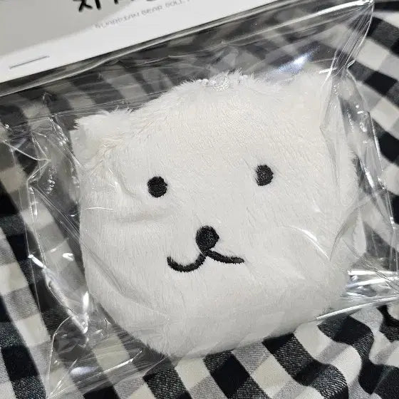 [BUNJANG] N.Flying Lee Seunghyub Keep Me Bear Keyring (Sealed) / 지켜줄곰 키링 미개봉
