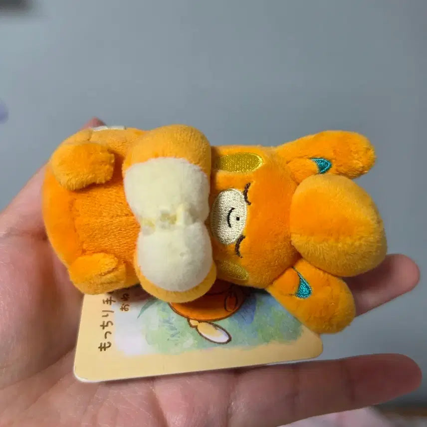 [BUNJANG] Pokemon Sleeping Pamot Mini Plush / 포켓몬스터 잠자는 미니 빠모트 인형