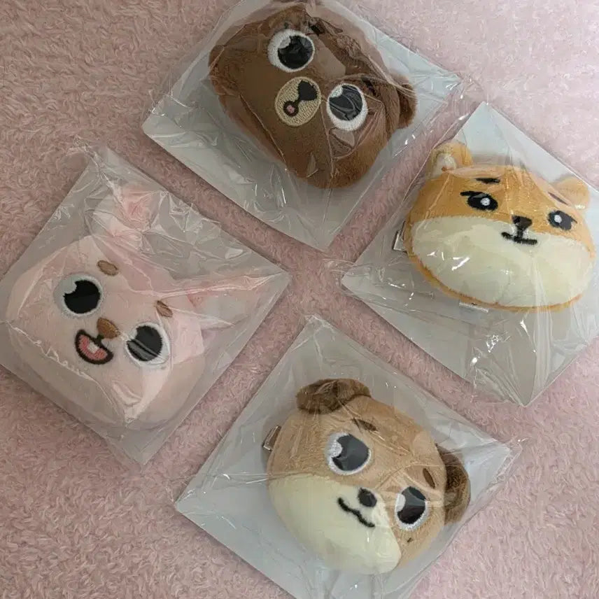 [BUNJANG] Day6 Japan Goods Bang Pildon Hairpin / 돈/원가이하) 데이식스 일본 굿즈 md 방필돈 헤어핀