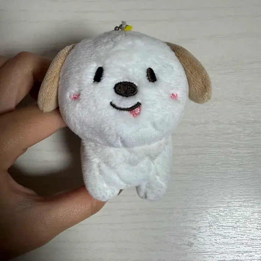 [SOLD OUT] 라이즈 앤톤 멍룡이 인형 10cm