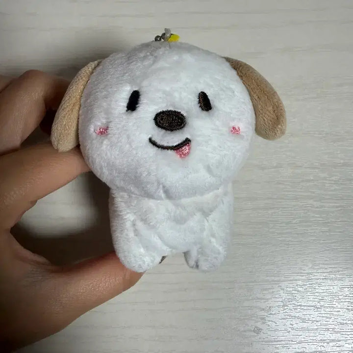 [SOLD OUT] 라이즈 앤톤 멍룡이 인형 10cm
