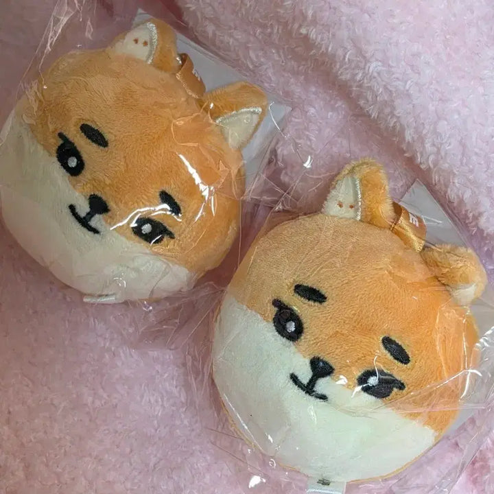 [BUNJANG] Day6 The Dayd/e/cade Japan Round Face Bag Charm Kdon / 컨페티덤) 데이식스 더데케이드 일본 라운드 페이스 백참 케
