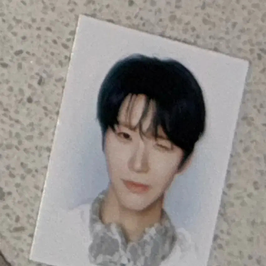 [BUNJANG] NCT WISH Jaehee Dae Young Smini Photocard Holder / 엔시티위시 오드투러브 재희 대영 스미니 팔아용 재희 증사도 드려용