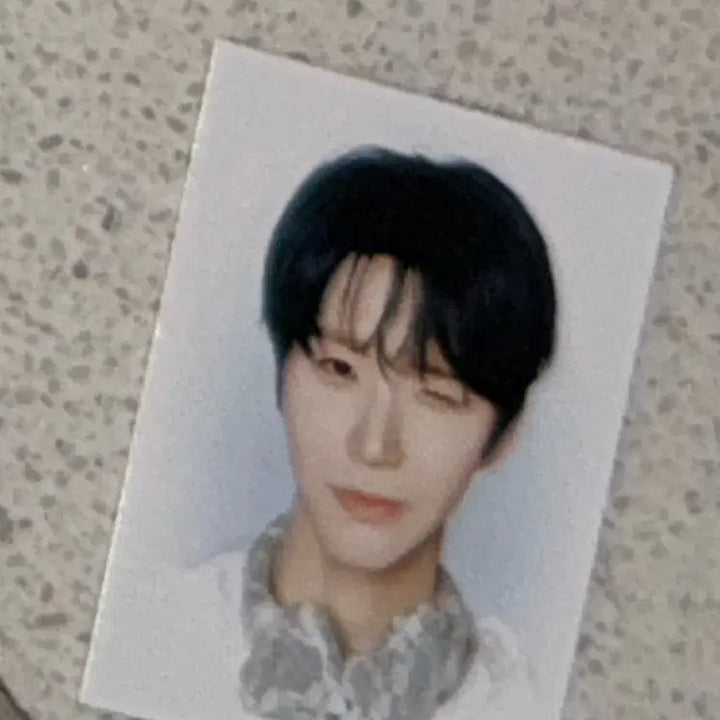 [BUNJANG] NCT WISH Jaehee Dae Young Smini Photocard Holder / 엔시티위시 오드투러브 재희 대영 스미니 팔아용 재희 증사도 드려용