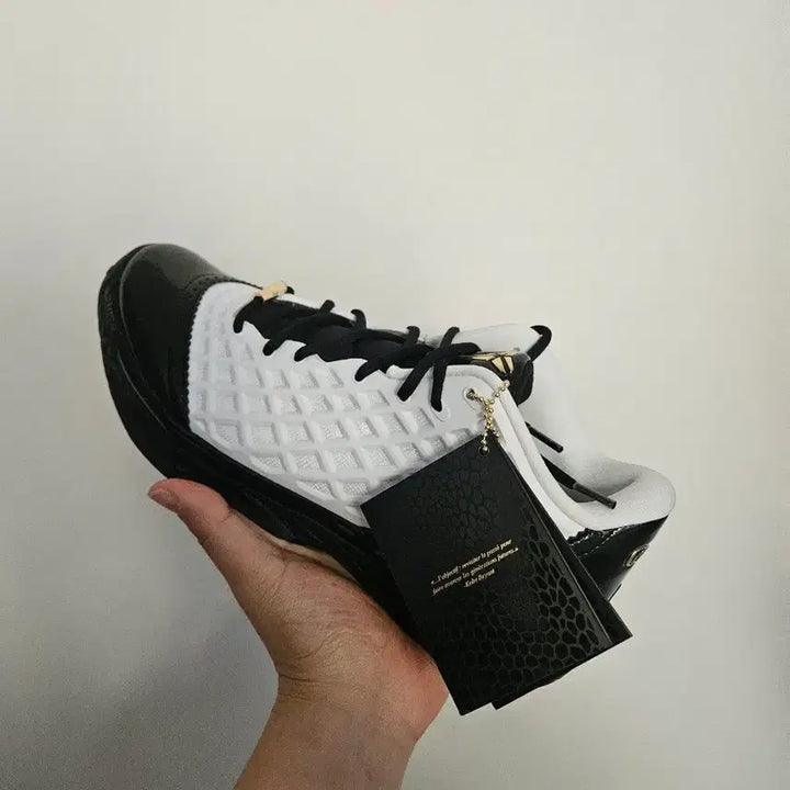 [SOLD OUT] [295] 나이키 코비3 로우 맘바시타