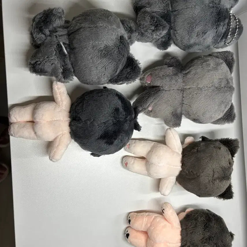 [BUNJANG] Play V Hamin Doll Bundle Set / 플레이브 하민 인형 일괄 양도