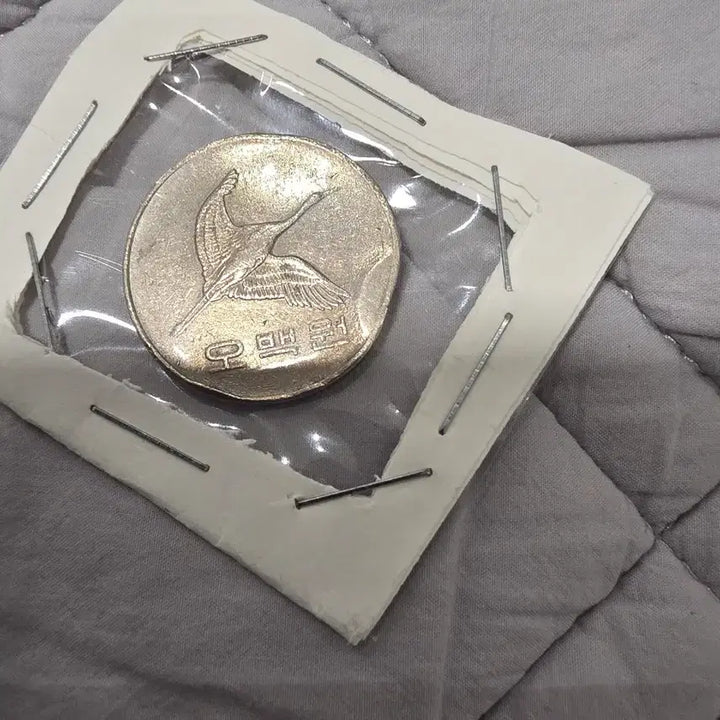 [BUNJANG] 2001 500 Won Coin (Estimated Error) / 에러 추정 2001년 500원