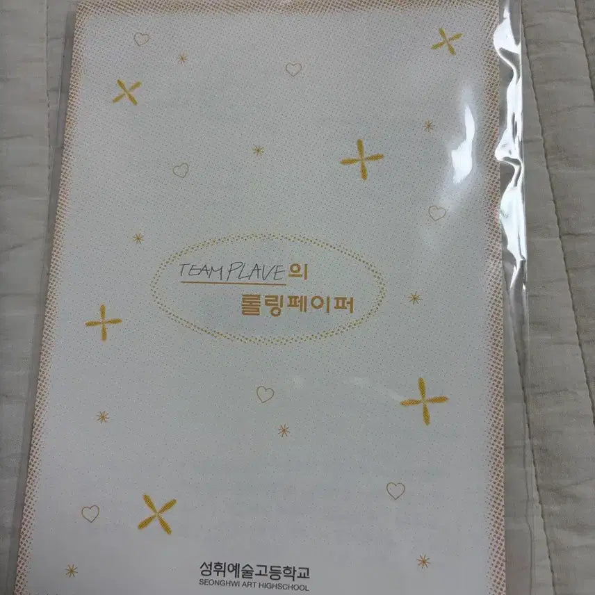 [BUNJANG] Plaive 2024 Season&