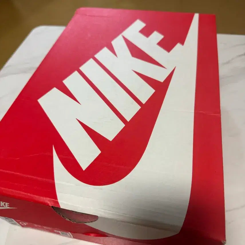 [BUNJANG] Nike Dunk Low Retro Championship Grey / 나이키 덩크로우 레트로 챔피언쉽 그레이