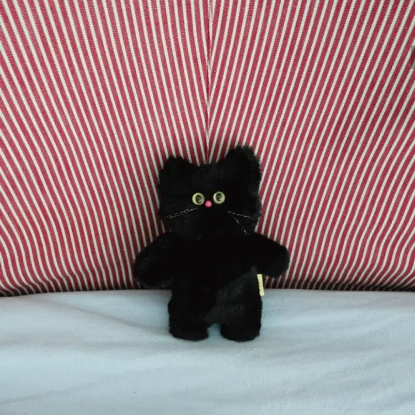 [BUNJANG] Kojimoji Custom Cat Keyring Black / [ 제니 pick ] 코지모지 고양이 커스텀 캣 키링 블랙 판매