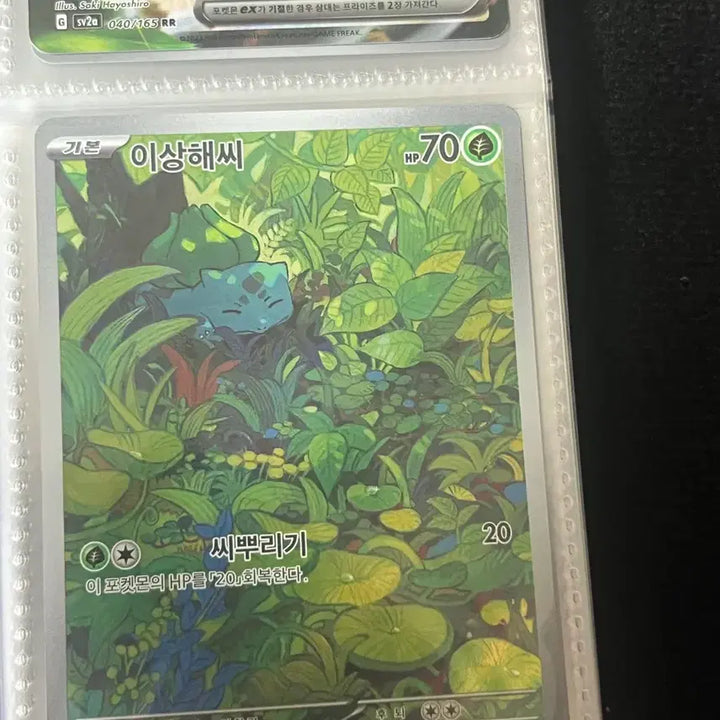 [BUNJANG] Bulbasaur AR Card / 이상해씨AR