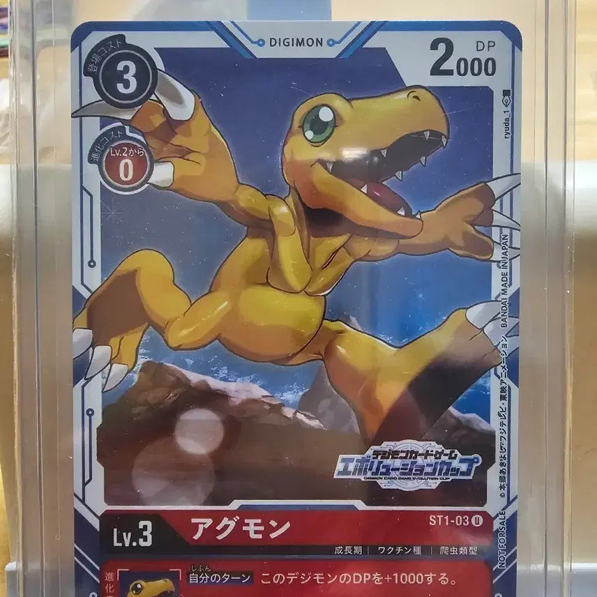 [BUNJANG] Digimon Evolution Cup Promo Agumon (ST1-03) Trading Card / [긴급할인] 디지몬 에볼루션컵 대회 프로모 아구몬(ST1-03)