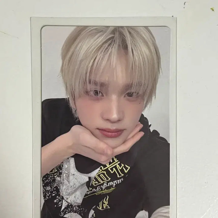 [BUNJANG] TWS Shinyu Weverse Lucky Draw Photocard / 투어스 신유 위버스 럭드 포토카드 포카