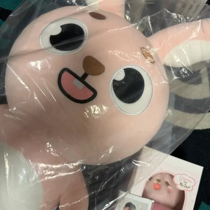 [BUNJANG] DAY6 Giant Denimals Phil Photocard, Polaroid, &amp; Voice Keyring Set / 데이식스 자이언트 데니멀즈 필 + 폴라 + 보이스키링 필