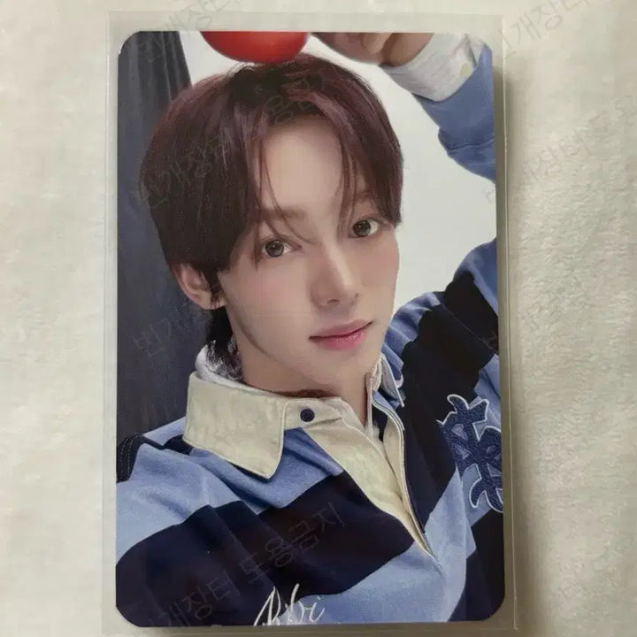 [BUNJANG] TWS NO TRAGEDY NO TRAGEDY Han Jin POB Photocard / NO TRAGEDY 투어스 한진 크림 미공포 특전 포카