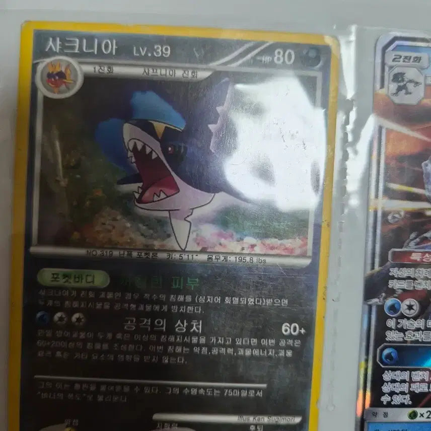 [BUNJANG] Pokemon Card Sharpedo DPGP