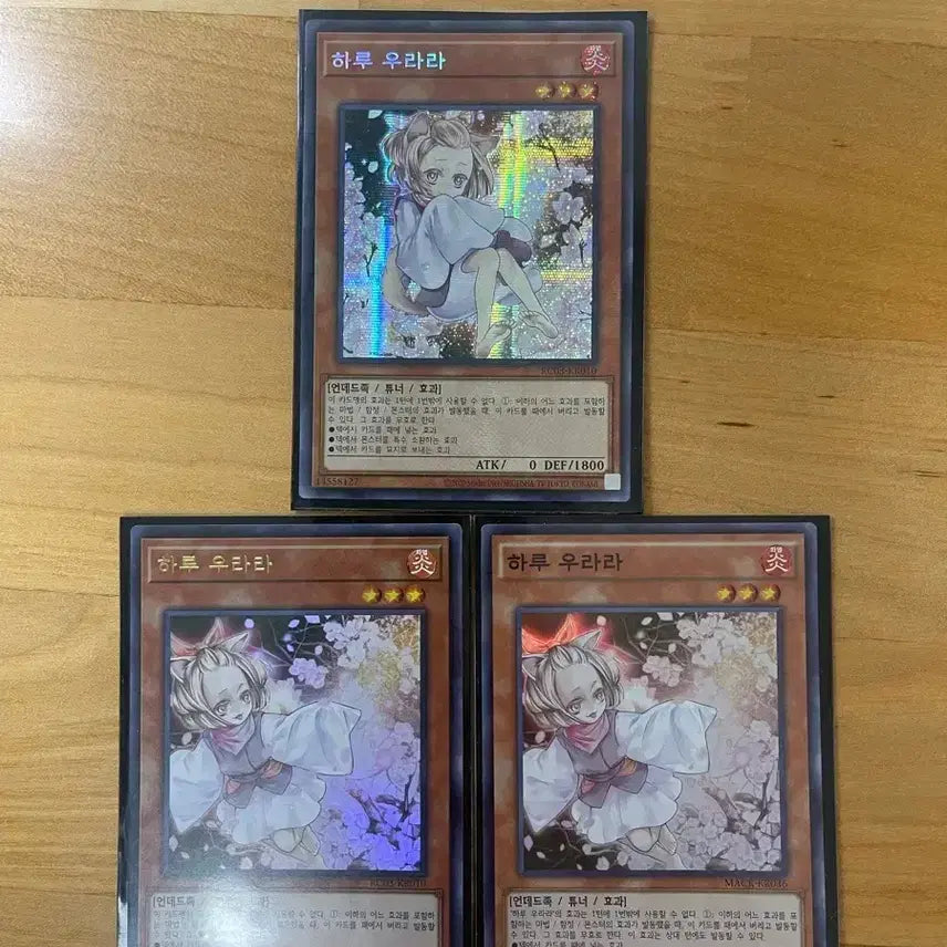 [BUNJANG] Yu-Gi-Oh! Ash Blossom &amp; Joyous Spring (Secret, Ultra Rare, Super Rare) Bundle Set / 유희왕 하루 우라라 시크,울레,슈레 3종 일괄 상태 좋아요