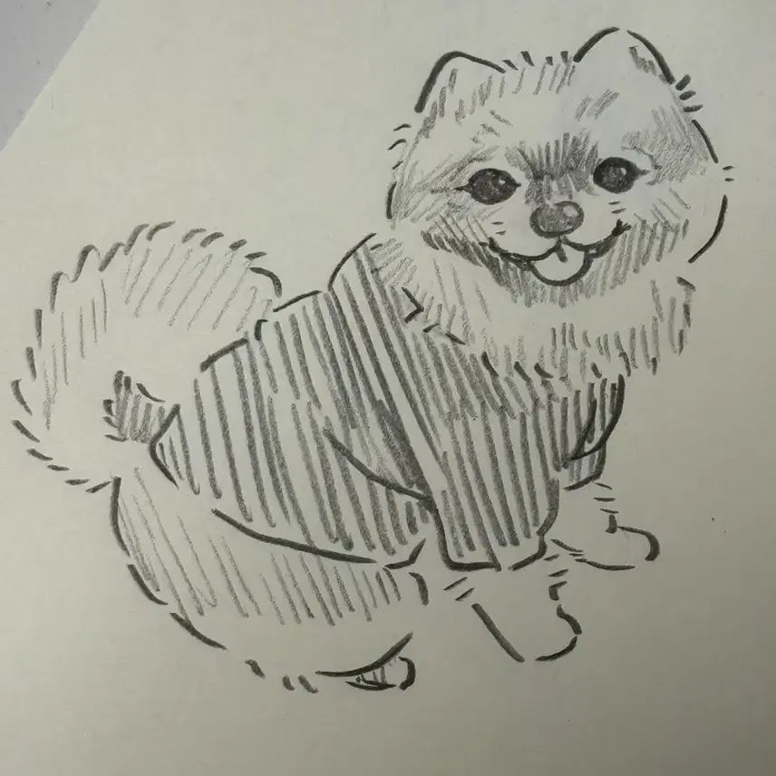 [BUNJANG] Custom Pet and Character Digital Art Commission / 커미션                 반려동물/자캐 등등 그림 그려드려요